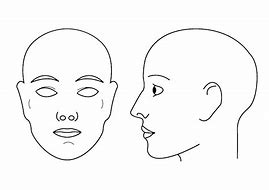 Image result for Front-Facing Person Diagram