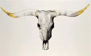 Image result for Texas Longhorn Drawing