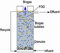 Image result for Expanded Granular Sludge Bed