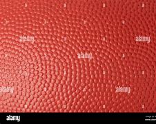 Image result for Rugby Ball Texture