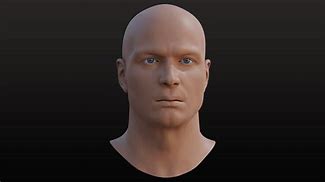 Image result for Male Human Head 3D Model