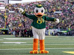 Image result for SEC Football Mascots