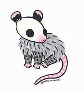 Image result for Possum Doodle