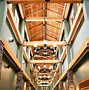 Image result for Great Wolf Lodge in Washington