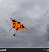 Image result for Orange Kite Flying