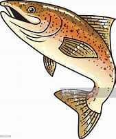 Image result for Brown Trout Fish Clip Art