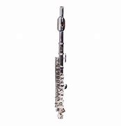 Image result for Flute Baja