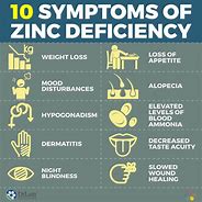 Image result for Low Zinc Eczema