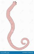 Image result for Tapeworm Cartoon