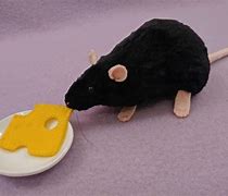 Image result for Rat Plushie Black