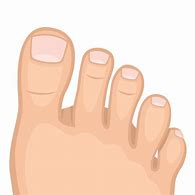 Image result for Toes Clip Art