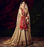 Image result for Ambani Wedding Lehenga