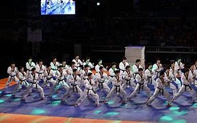 Image result for South Korean Taekwondo