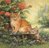 Image result for Cat and Butterfly Wallpaper