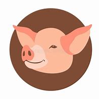 Image result for Pig Front Profile