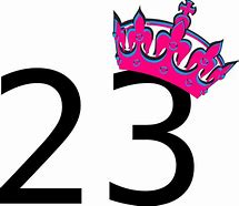 Image result for Number 23 Sign