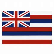 Image result for The Hawaiian Flag