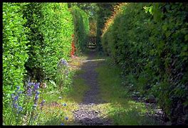 Image result for Dirt Path Garden