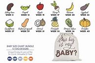 Image result for Pregnancy Baby Size Chart