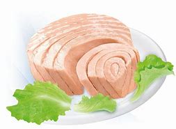 Image result for Tuna Finger Food