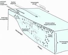 Image result for Pelagic Sediment