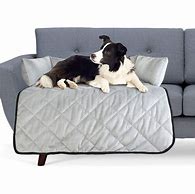 Image result for Dog Mat for Sofa