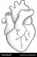 Image result for Picture Drawing Heart Side