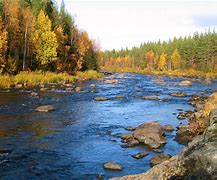 Image result for International Rivers Image