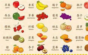 Image result for Quả Nhót Tiếng Trung