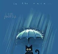 Image result for Cat Rain Quote