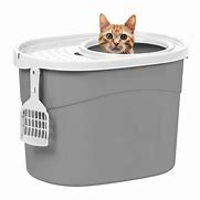 Image result for Covered Cat Litter Box