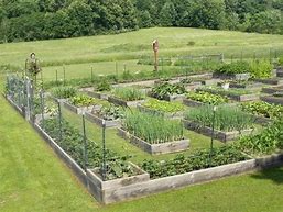 Image result for Garden Design Plans On Homestead