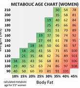 Image result for Metabolic Rate Calculator