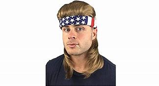 Image result for Blue Mullet Wig