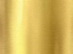 Image result for Metallic Gold Jacket