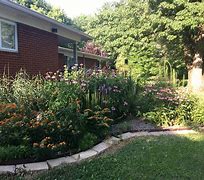 Image result for Wildlife Habitat Decor