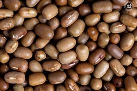 Image result for Moth Bean