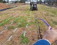 Image result for Drip Irrigation Septic System