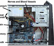 Image result for Inside Computer Parts