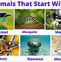 Image result for U of M Hat Animals