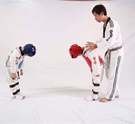 Image result for Taekwondo GI