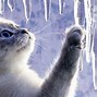 Image result for Icicles Funny