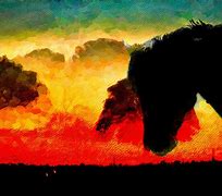 Image result for Beautiful Horse at Sunrise