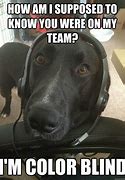 Image result for Dog Meme Not Playing Games