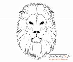 Image result for Lion Face Sculpt