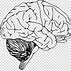 Image result for Happy Brain Clip Art