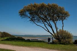 Image result for Lepe Park