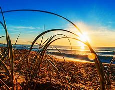 Image result for Sunny Morning Outside