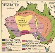 Image result for Landforms and Vegetation of Australia