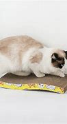 Image result for Cat Scratching Pads